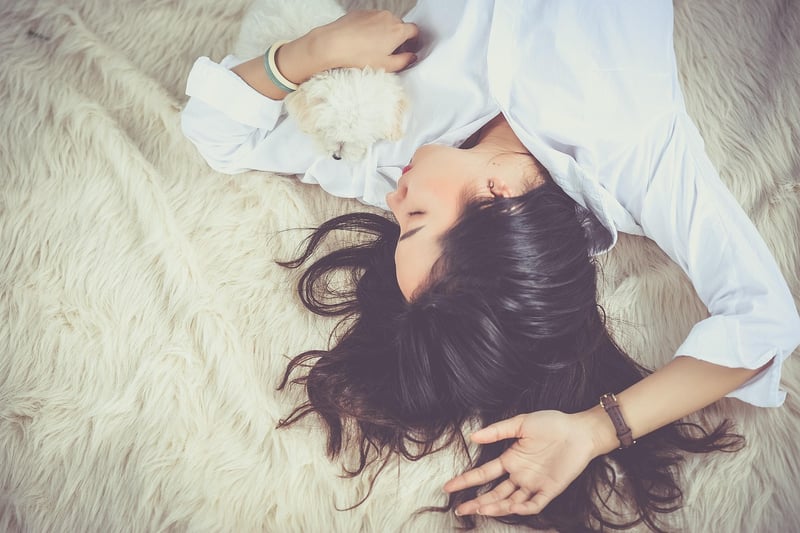 Conscious Dreaming